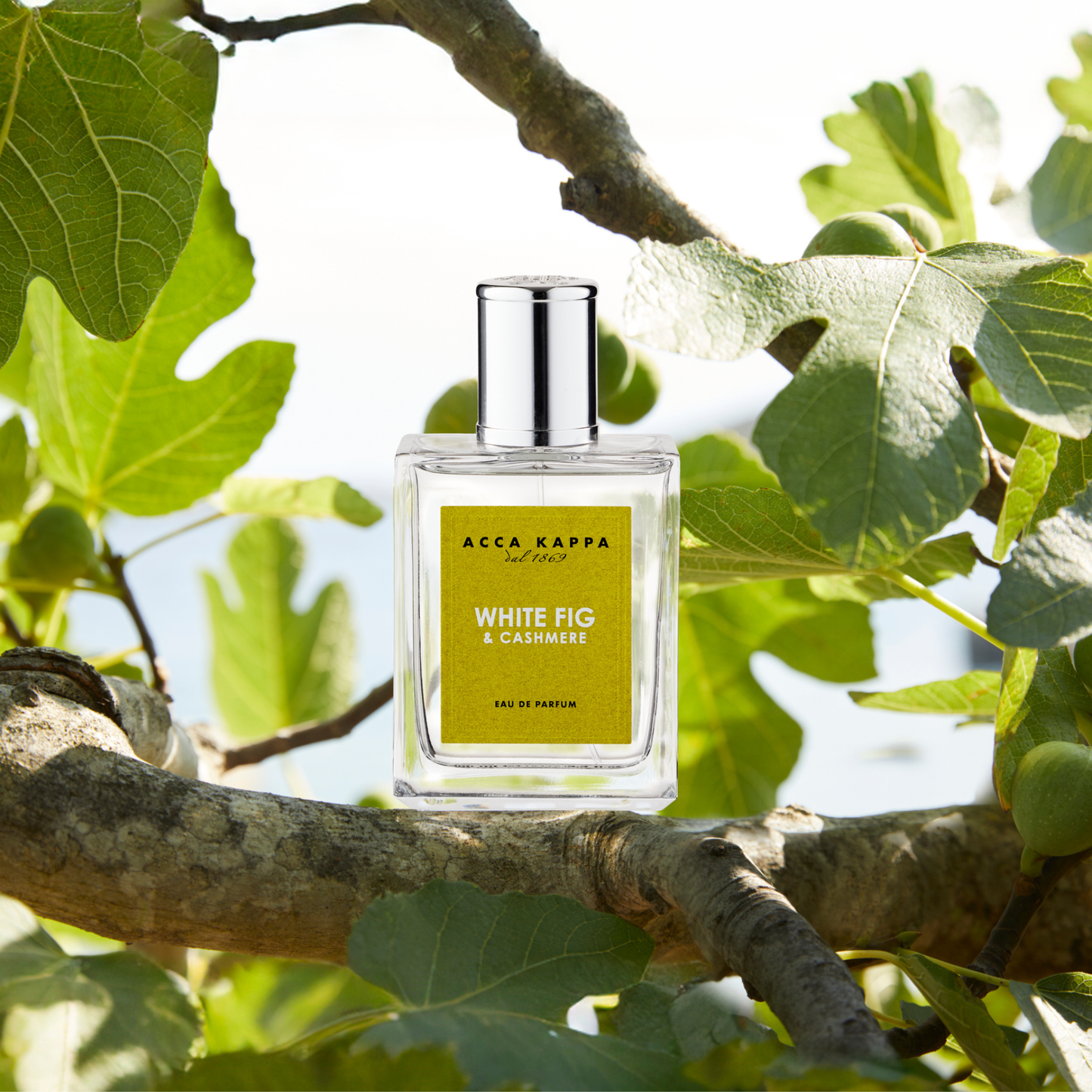 White Fig & Cashmere Eau de Parfum