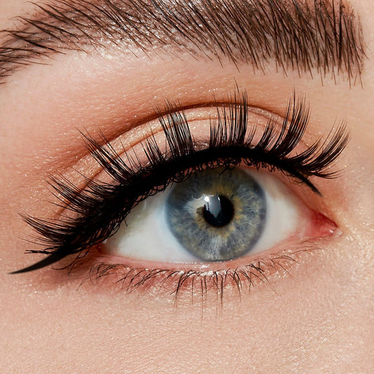 Paramour False Lashes - Beautifox