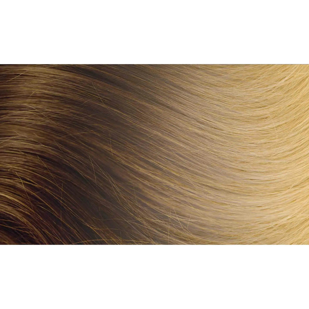 6/24- Neutral Medium Brown to Golden Blonde
