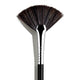 ‍F42 Strobing Fan™ Brush (100% off)