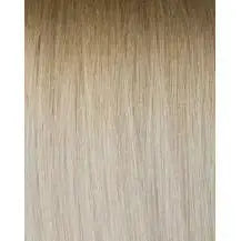 Ash Brown - Golden Blonde 8-610 Rooted