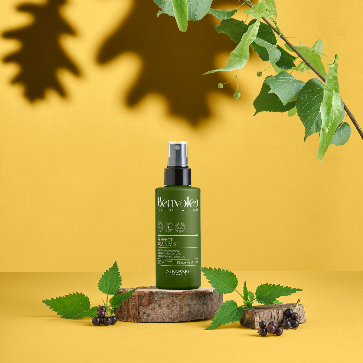 Benvoleo Perfect Again Dry Shampoo Mist