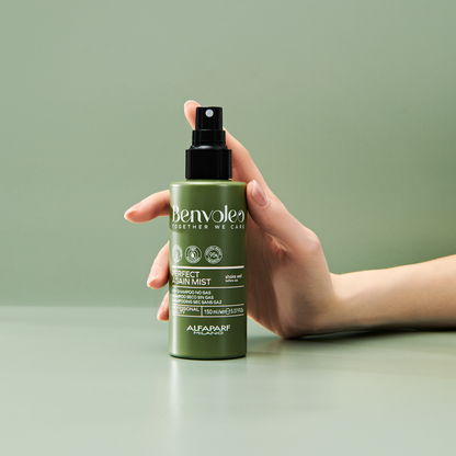 Benvoleo Perfect Again Dry Shampoo Mist
