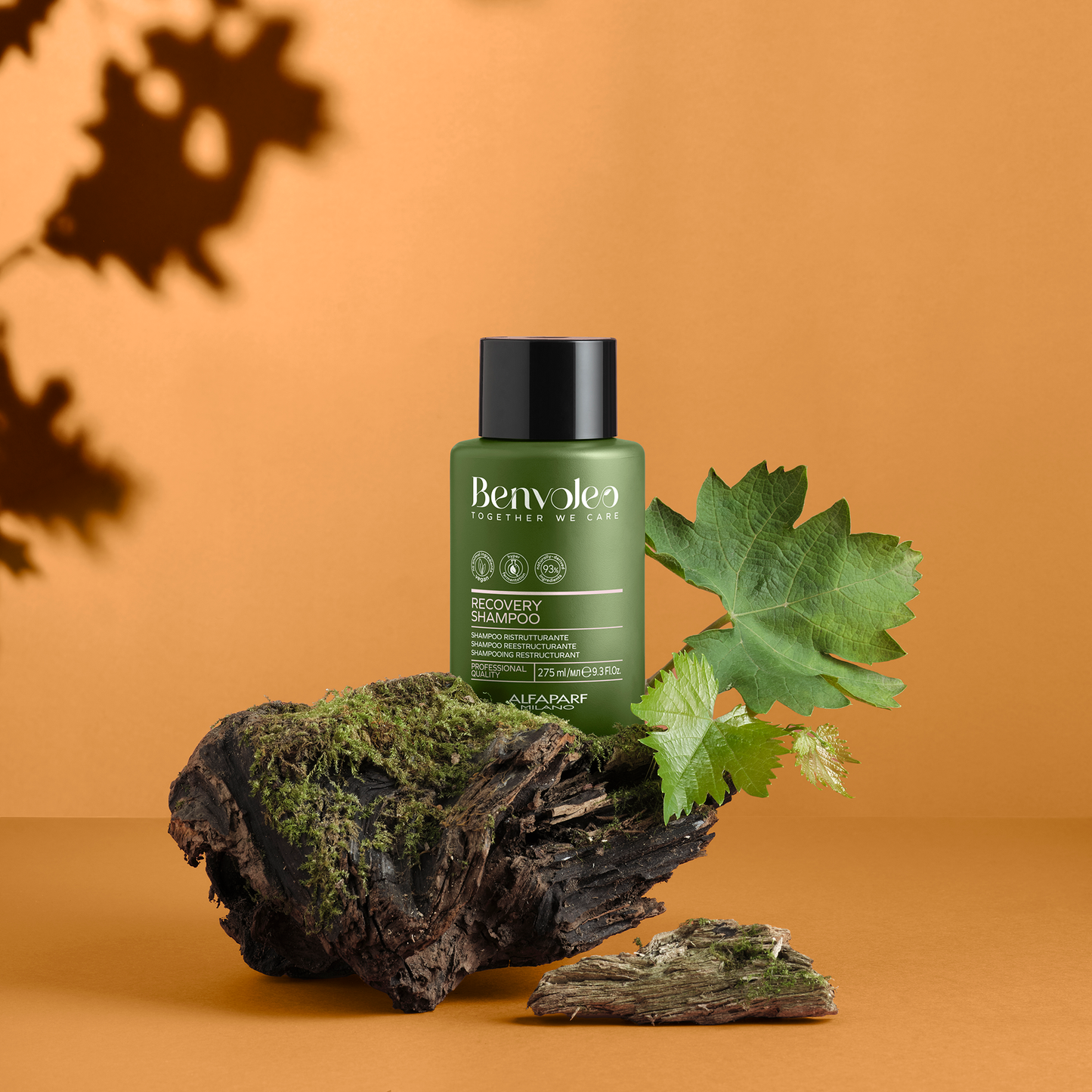 Benvoleo Recovery Shampoo