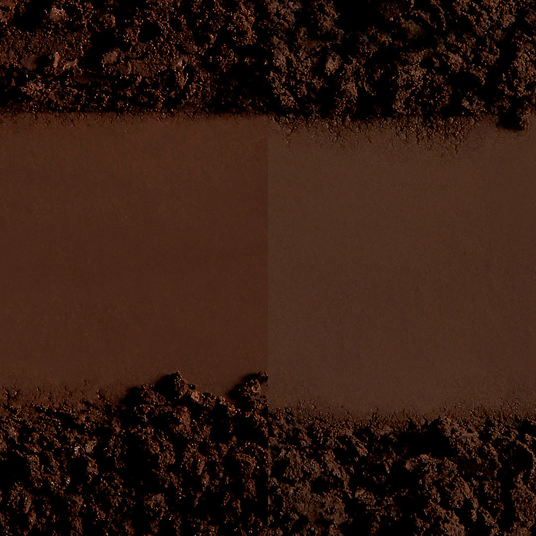 Color + Shape Brow Powder Duo