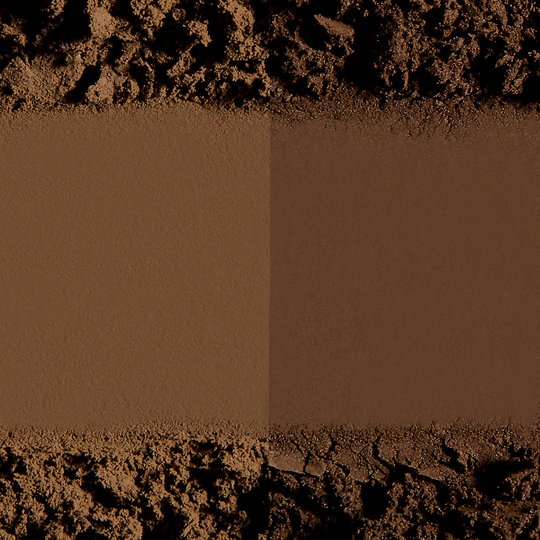 Color + Shape Brow Powder Duo