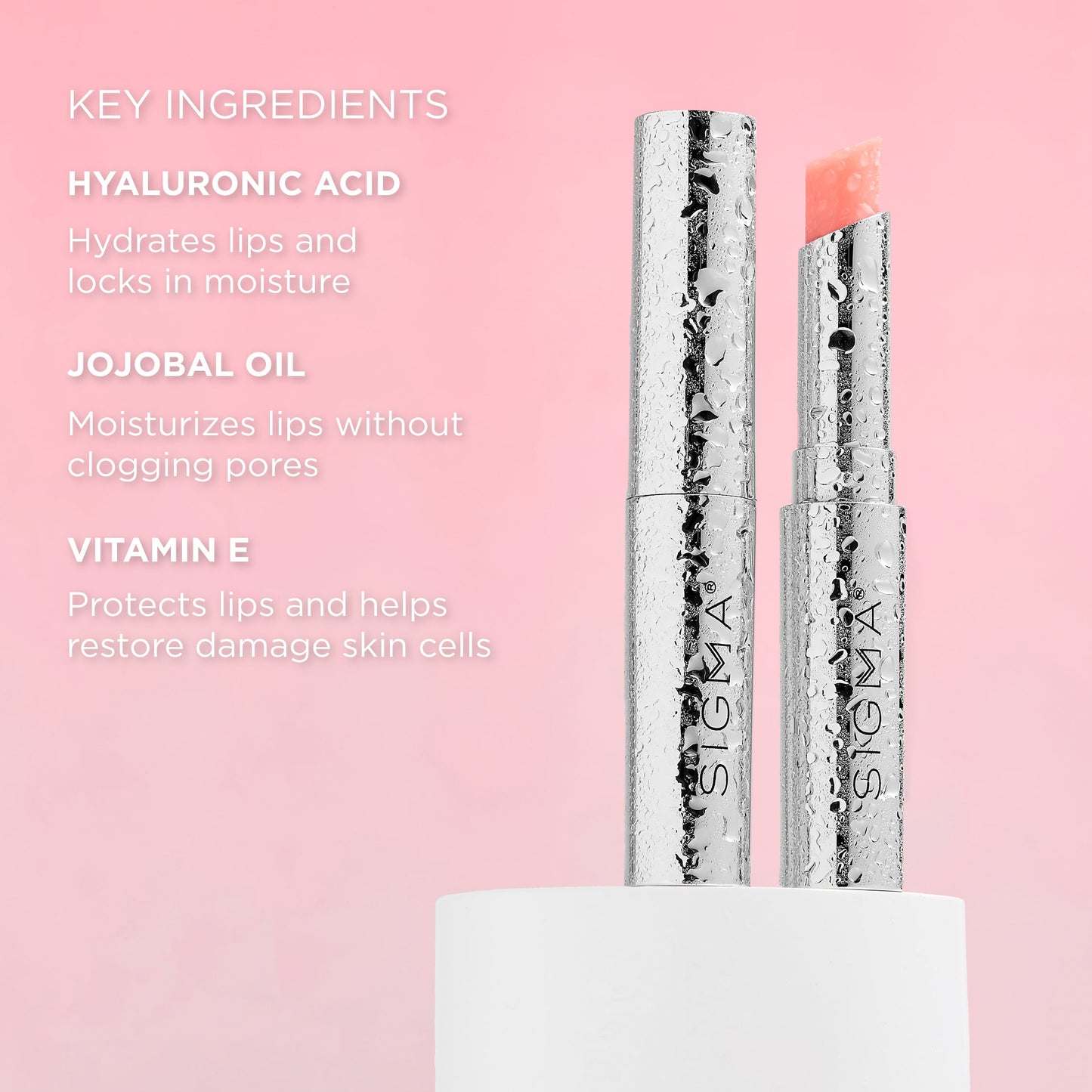 Dewy Moisturizing Lip Balm