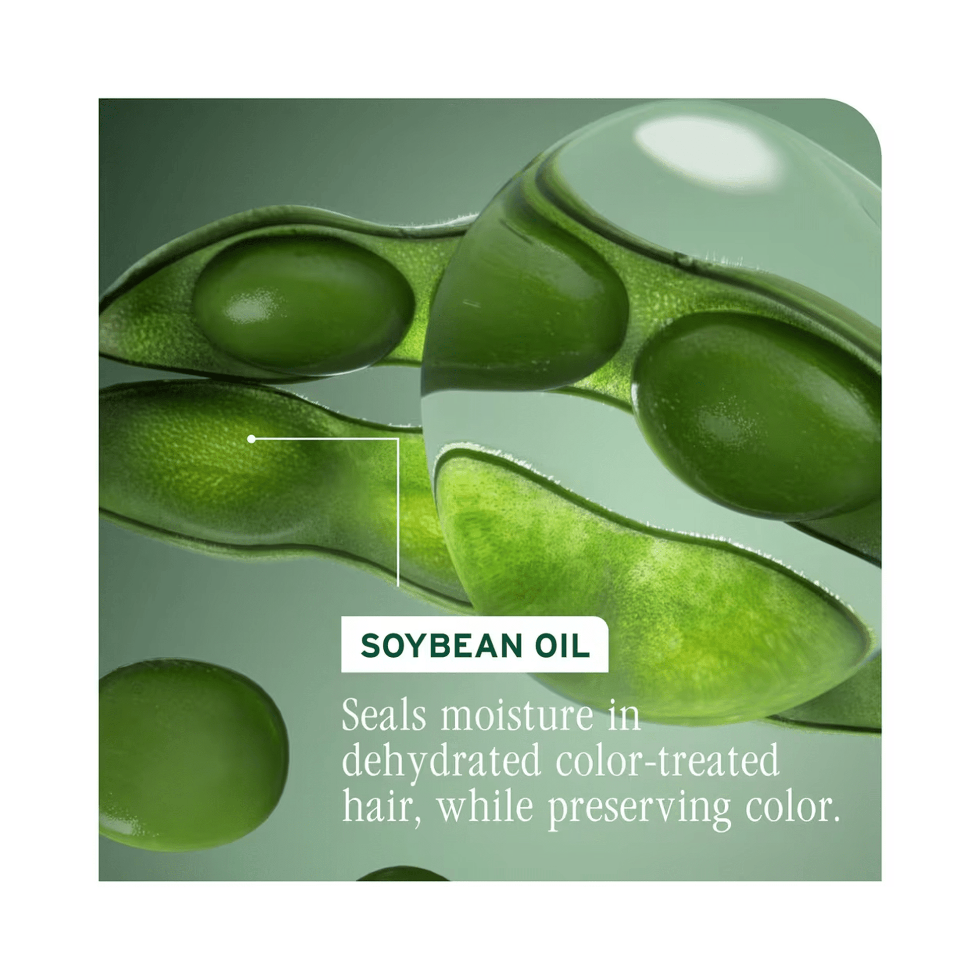 Biolage Color Last Conditioner - Beautifox