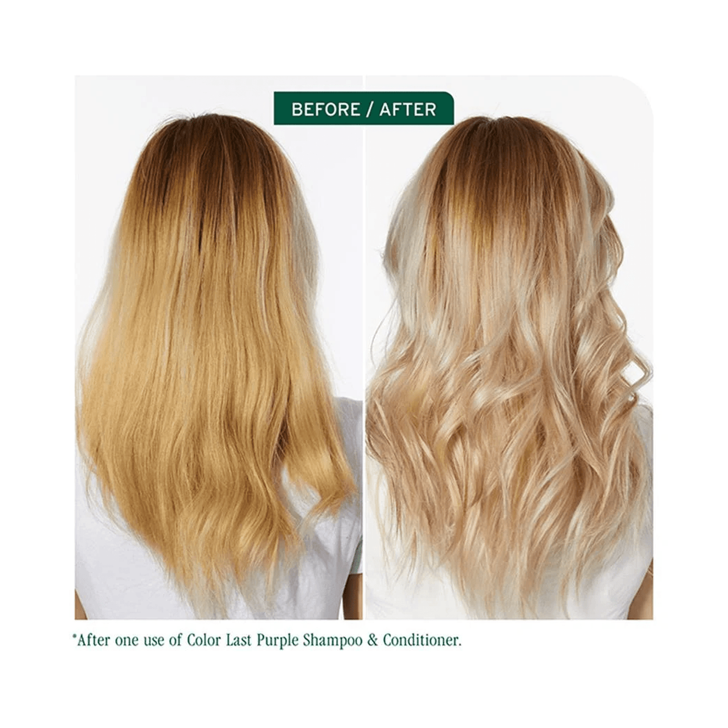 Biolage Color Last Purple Shampoo - Beautifox