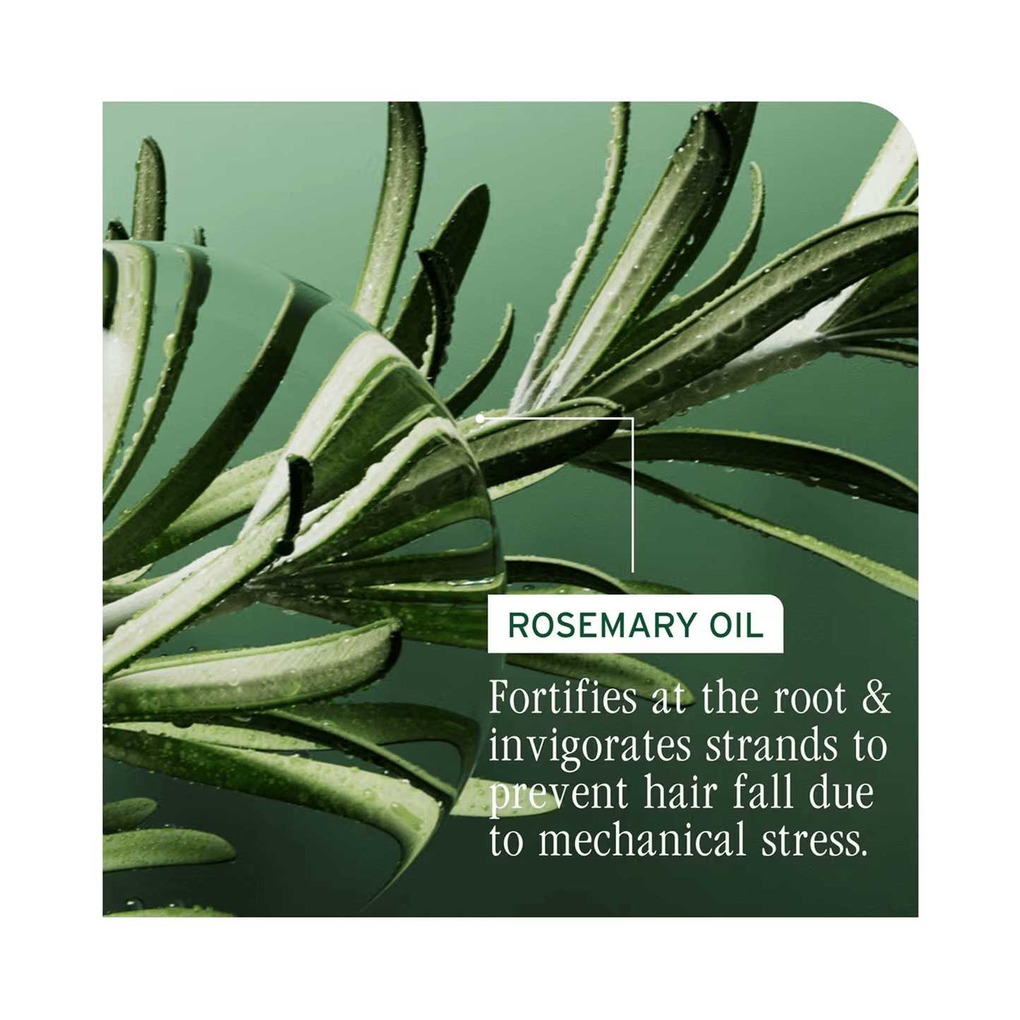 Biolage Full Rescue Invigorating Scalp Serum - Beautifox