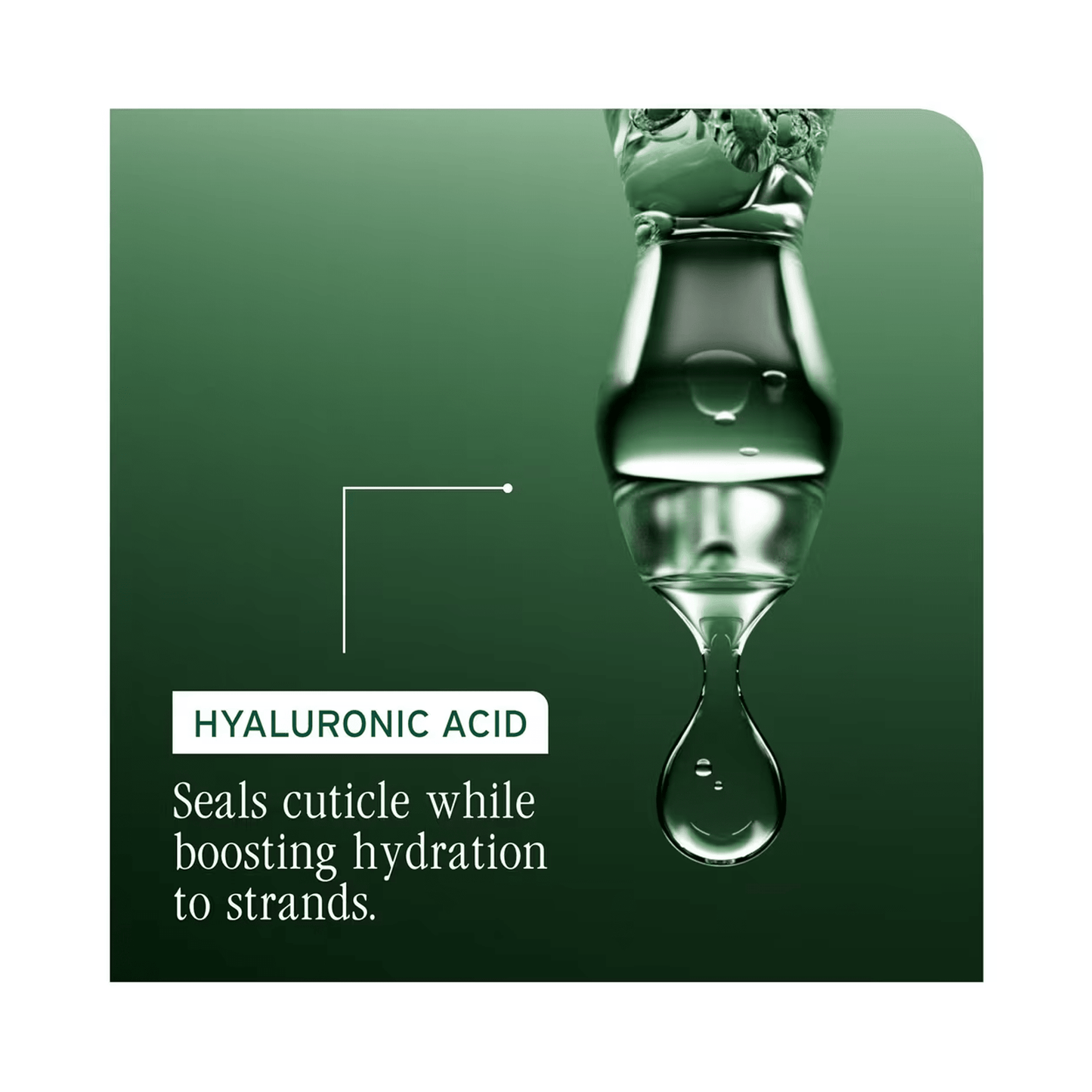 Biolage Hydra Source Shampoo - Beautifox
