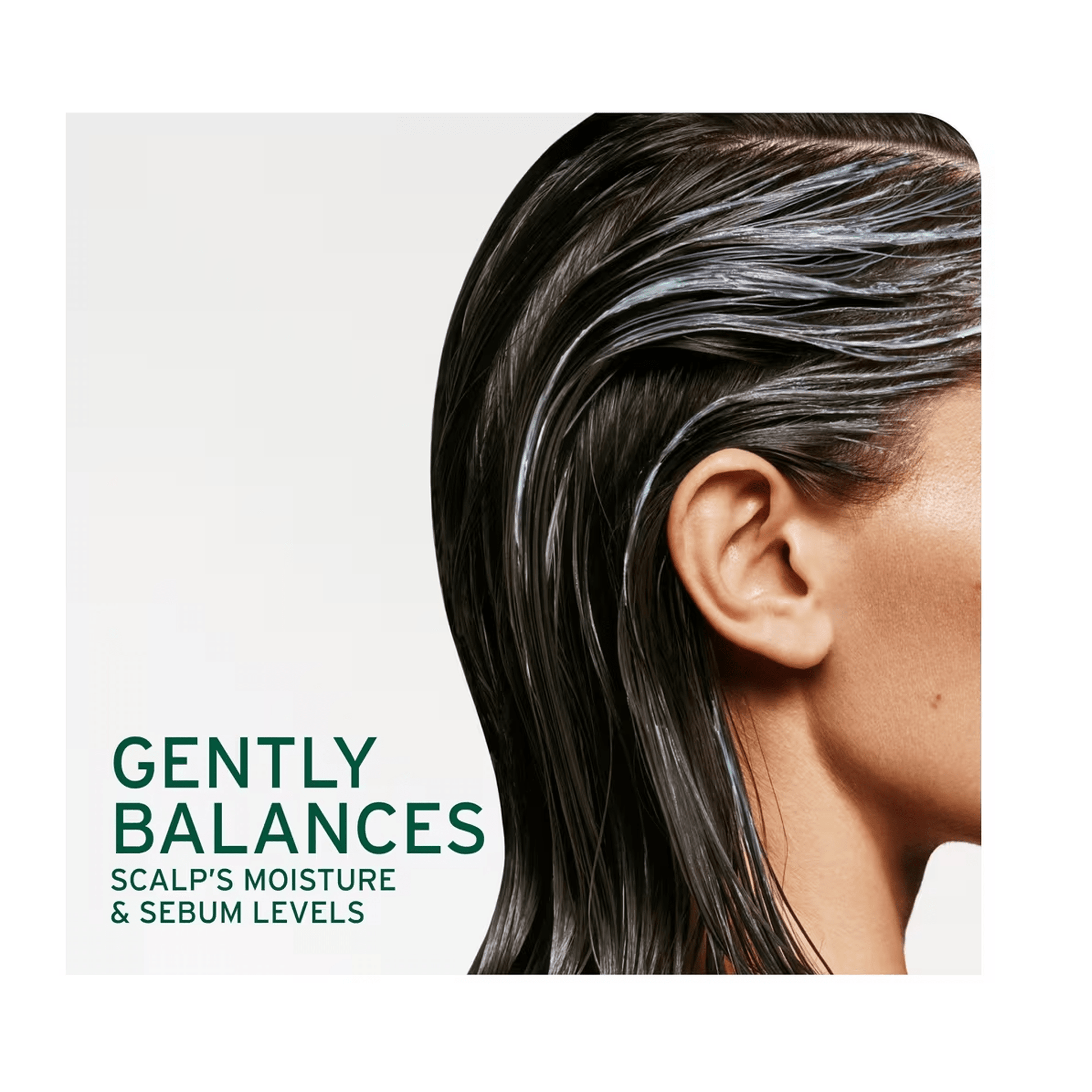 Biolage Scalp Sync Calming Shampoo 13.5oz & Scalp Sync Universal Conditioner 8oz Duo ($52 Value) - Beautifox