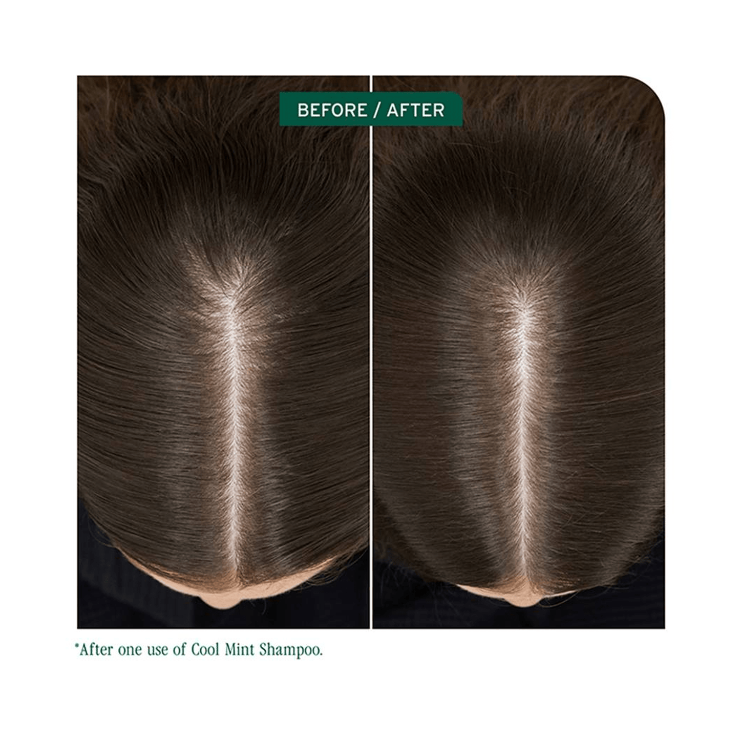 Biolage Scalp Sync Cool Mint Shampoo - Beautifox