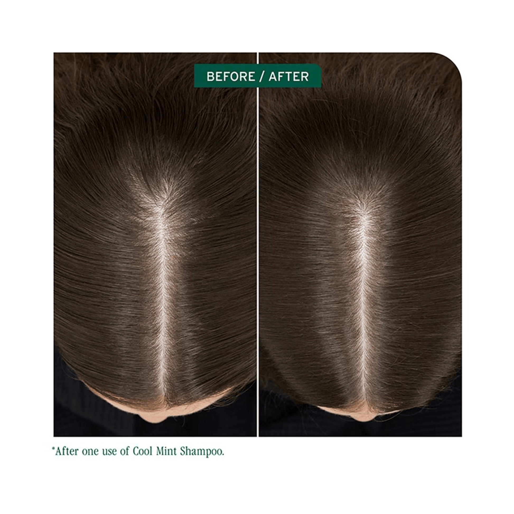 Biolage Scalp Sync Cool Mint Shampoo - Beautifox