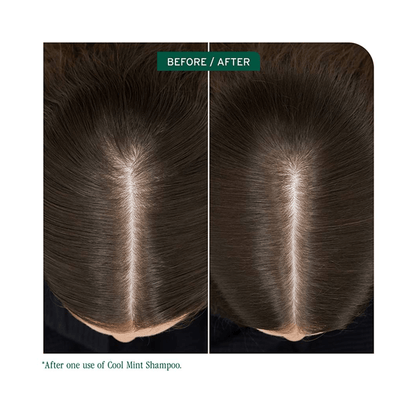 Biolage Scalp Sync Cool Mint Shampoo - Beautifox