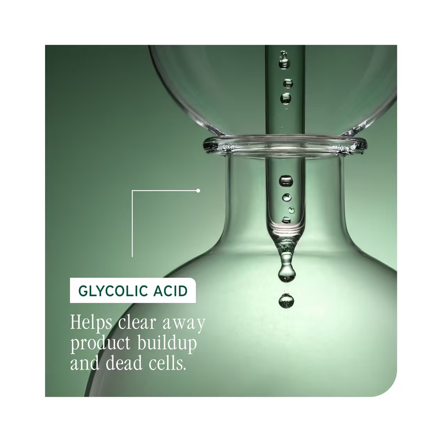 Biolage Scalp Sync Universal Conditioner - Beautifox