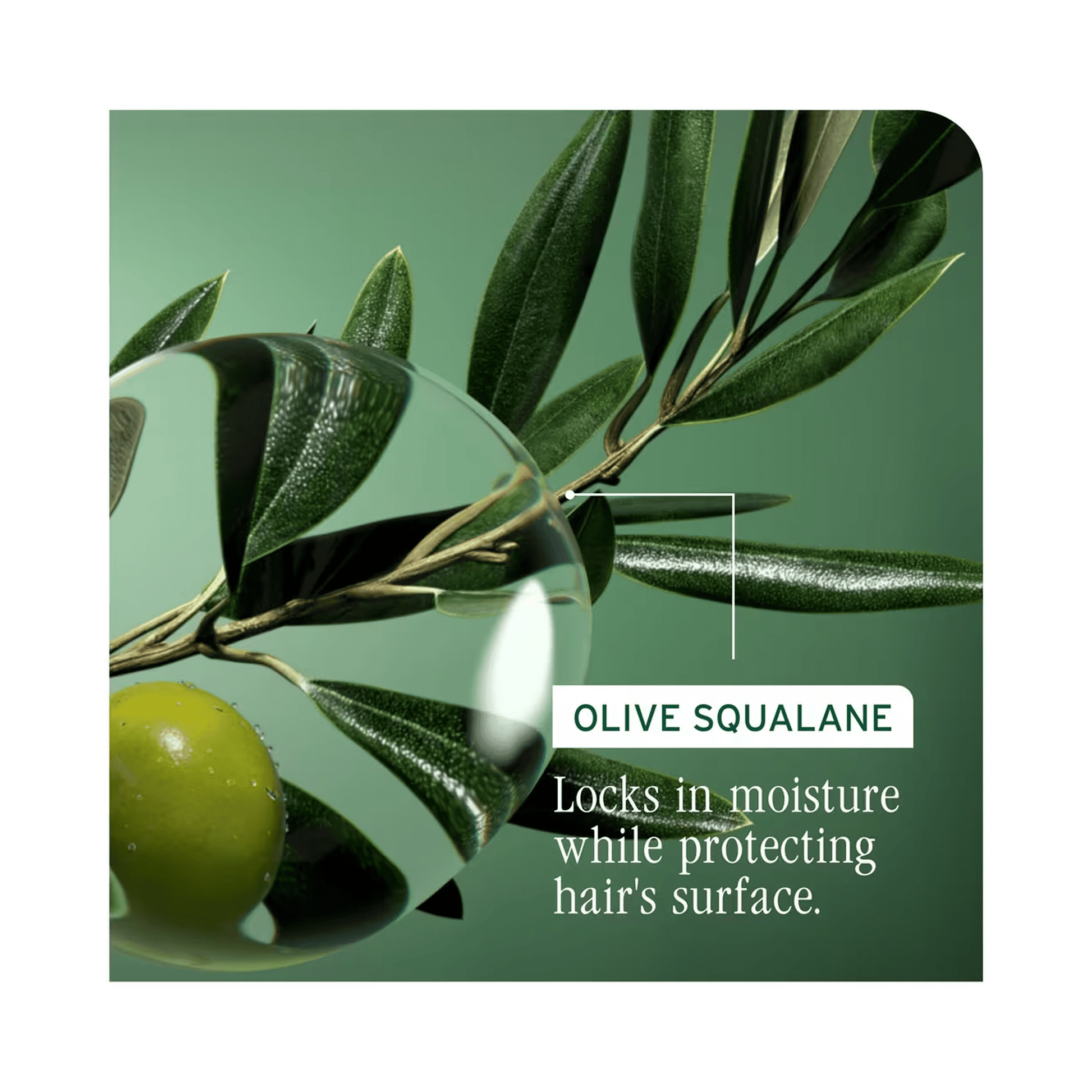 Biolage Strength Recovery Conditioner - Beautifox
