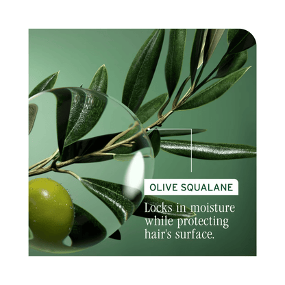 Biolage Strength Recovery Conditioner - Beautifox