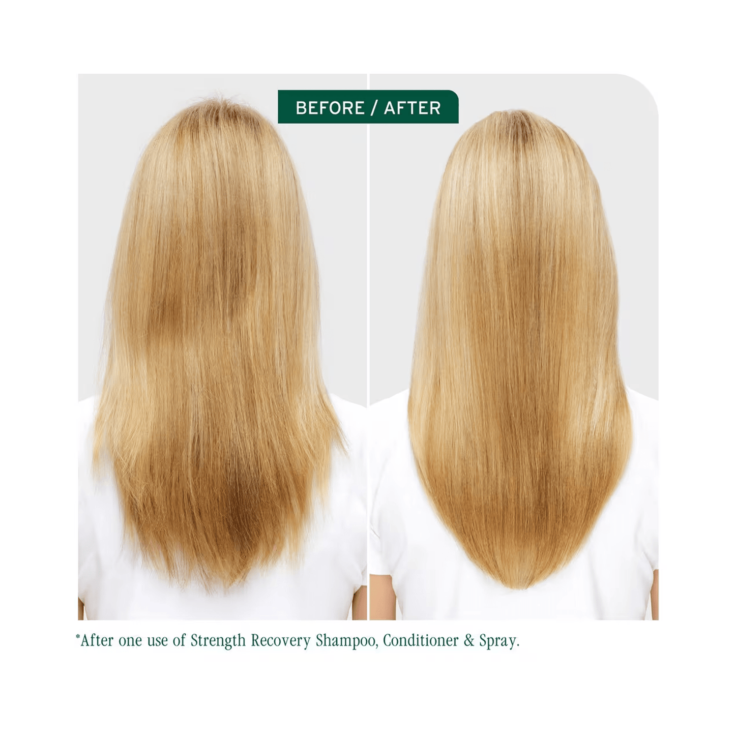 Biolage Strength Recovery Shampoo - Beautifox