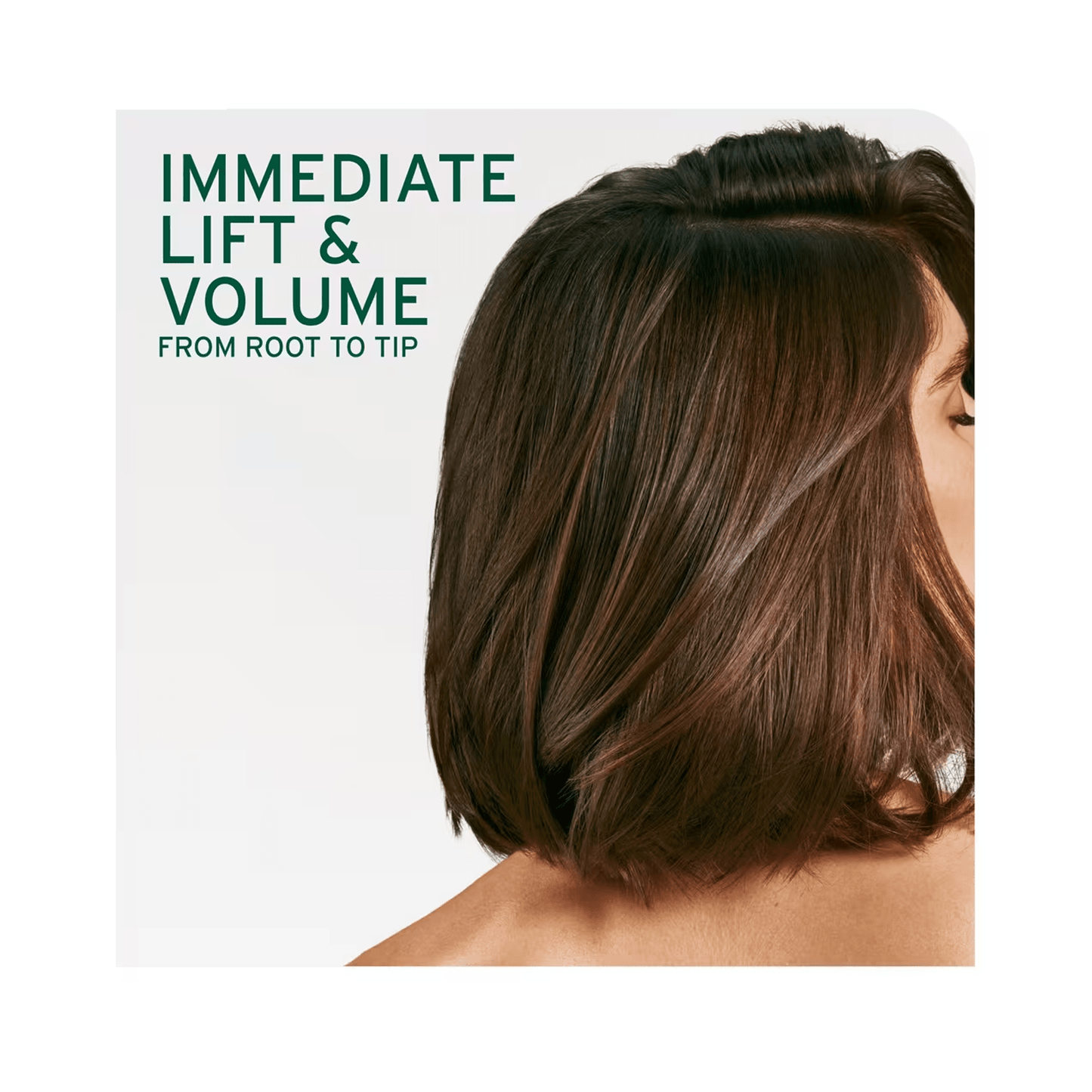 Biolage Volume Boost Shampoo & Conditioner Duo 13.5 oz ($52 Value) - Beautifox
