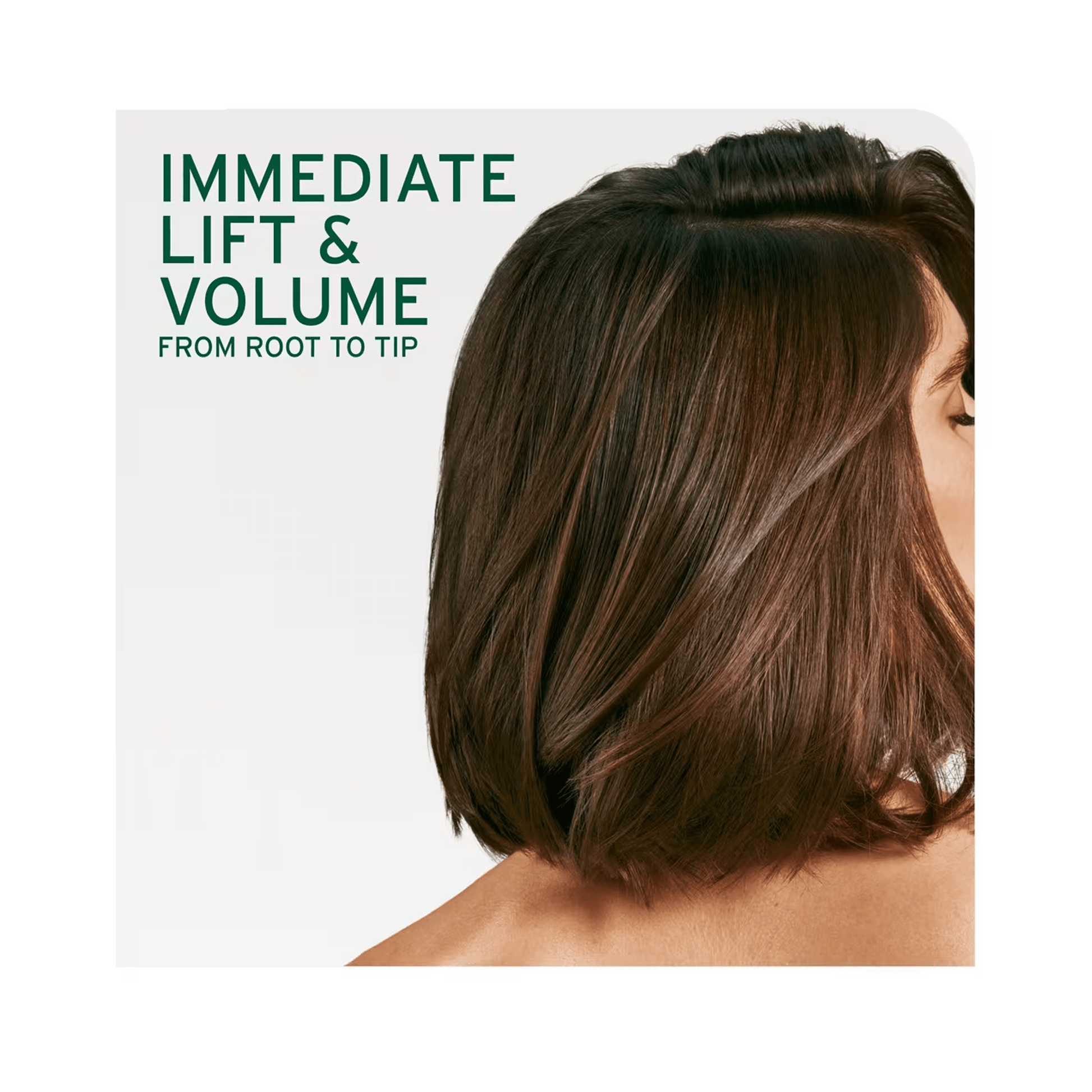 Biolage Volume Boost Shampoo & Conditioner Duo 13.5 oz ($52 Value) - Beautifox