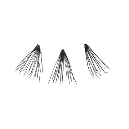 C Curl Individual - Medium - Beautifox