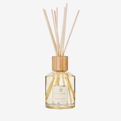 Calycanthus Home Diffuser - Beautifox