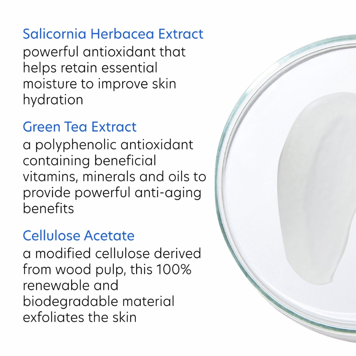 Daily Exfoliant - Beautifox