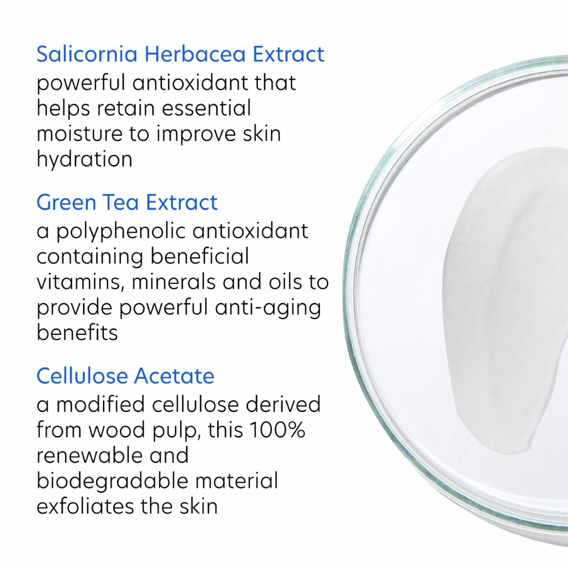 Daily Exfoliant - Beautifox