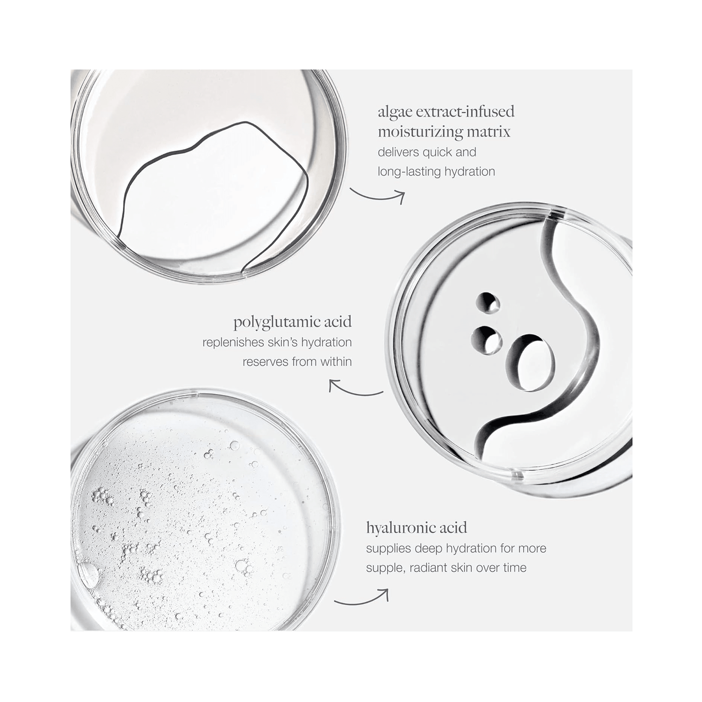 Dermalogica Circular Hydration Serum - Beautifox
