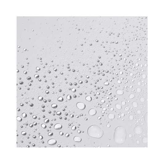 Dermalogica Dynamic Skin Antioxidant Hydramist - Beautifox