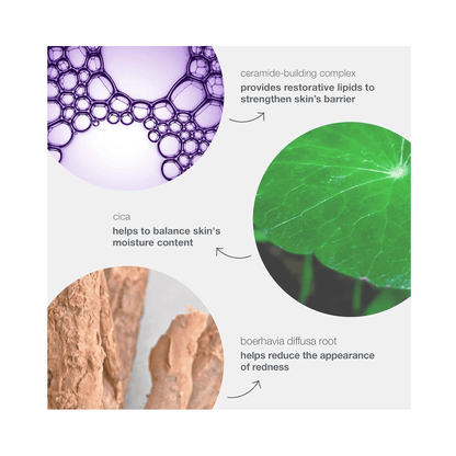Dermalogica Stabilizing Repair Cream - Beautifox