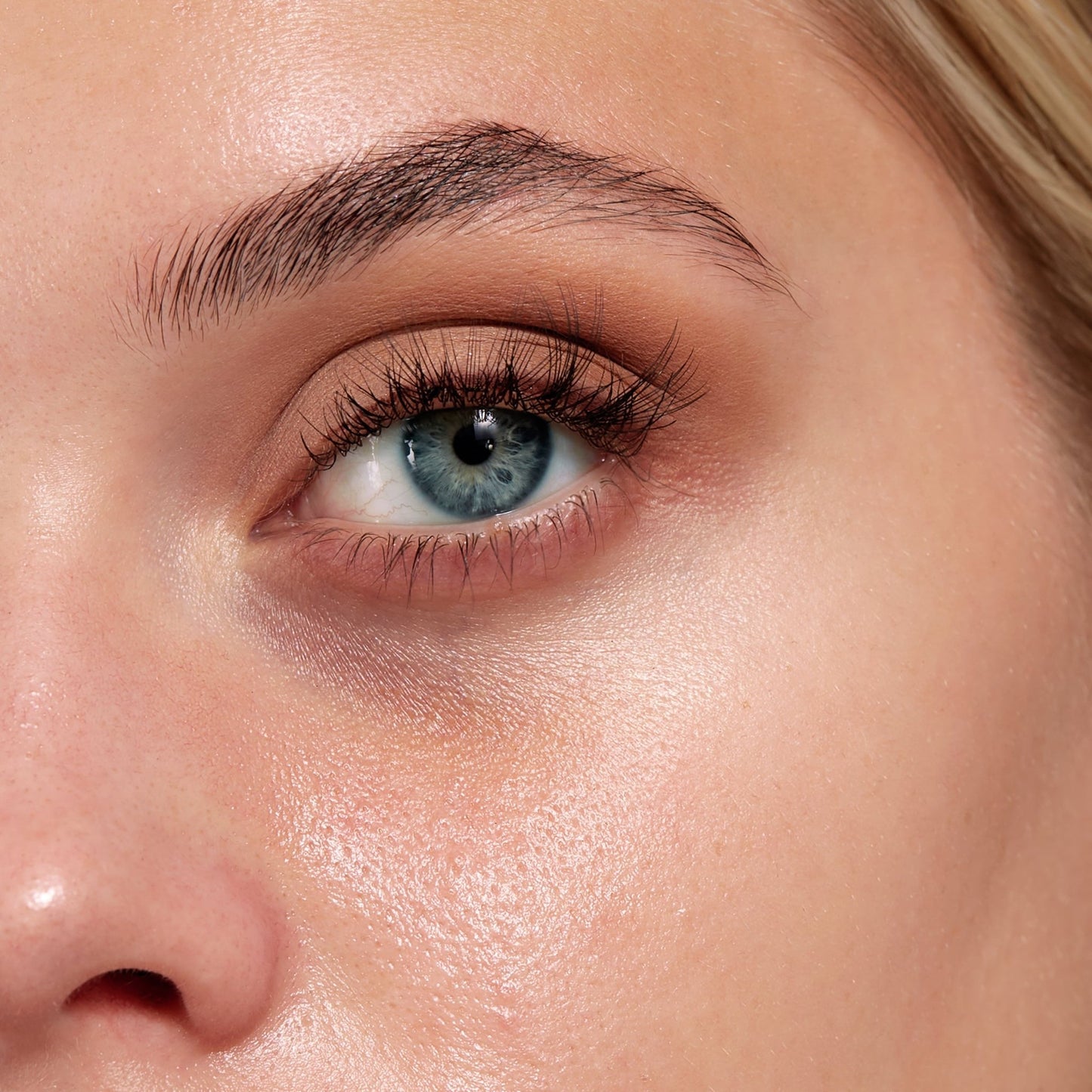 F26 Domed Concealer Brush - Beautifox