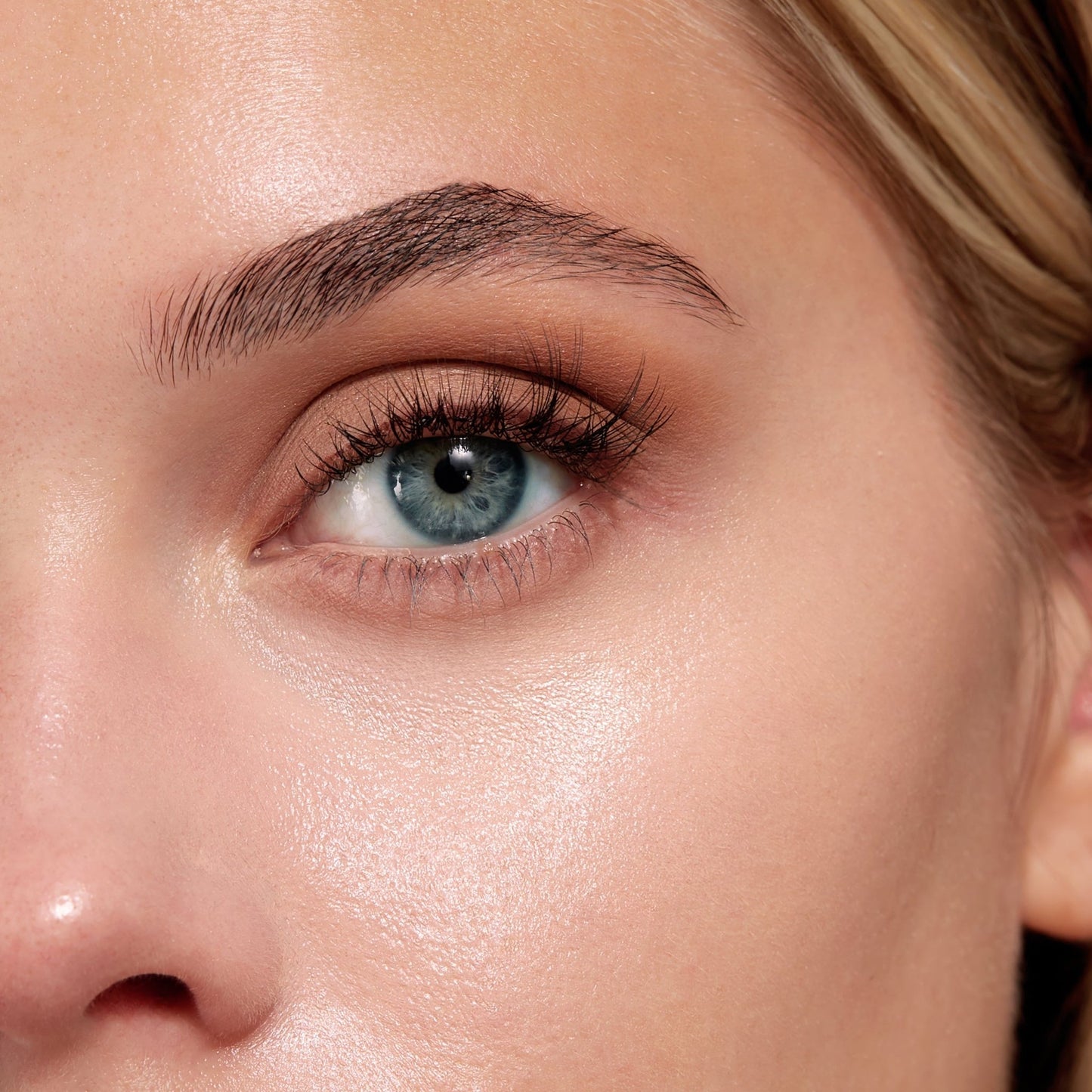 F26 Domed Concealer Brush - Beautifox