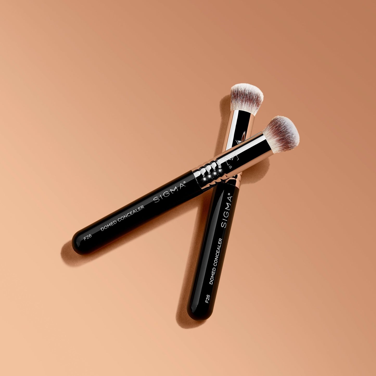 F26 Domed Concealer Brush - Beautifox