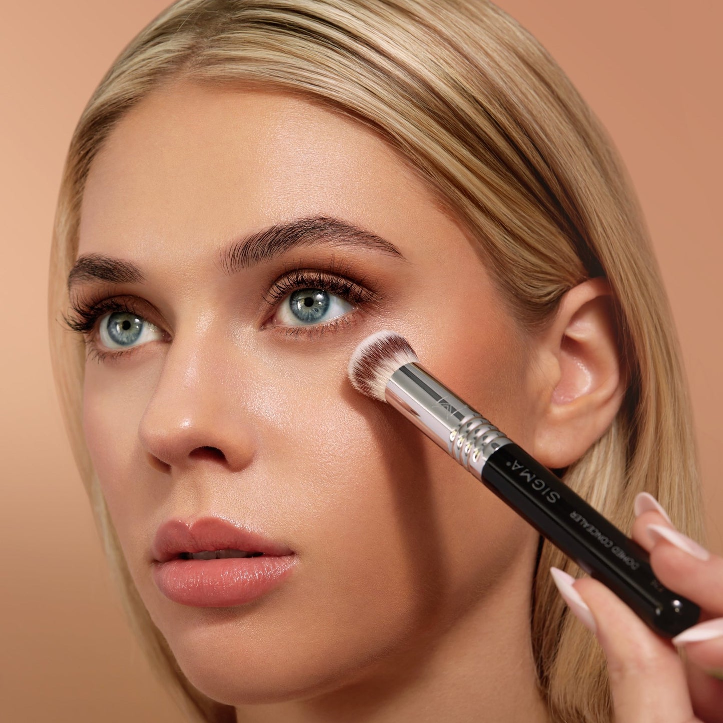 F26 Domed Concealer Brush - Beautifox