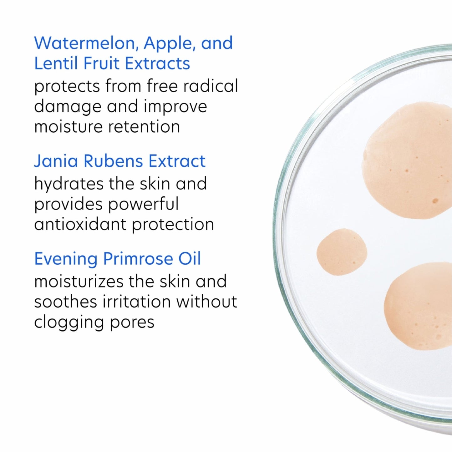 Hydrating Toner - Beautifox