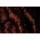 Keratin Bond Swarovski Crystal Extensions - Beautifox