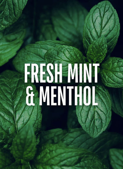 Mint Thickening Shampoo - Beautifox