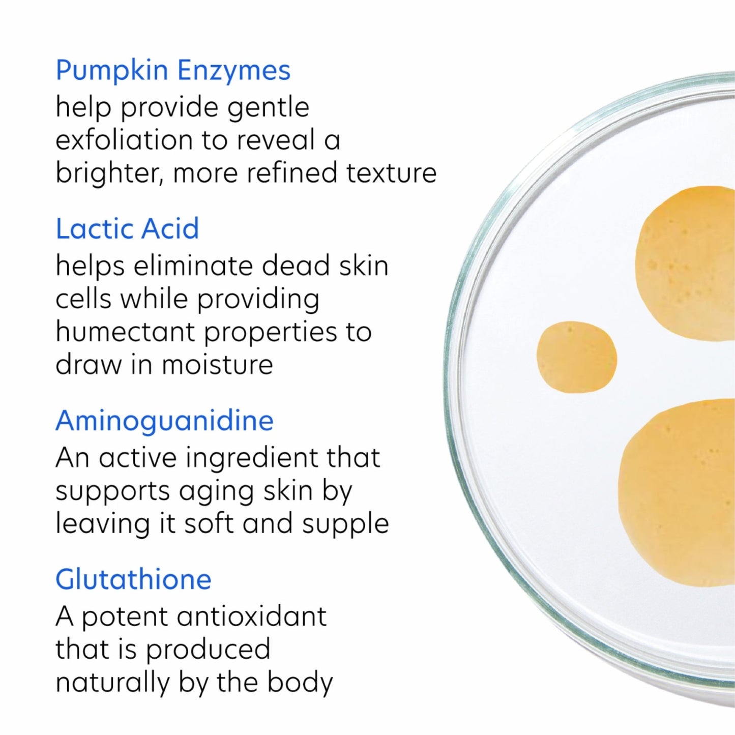 Nutrient Toner - Beautifox