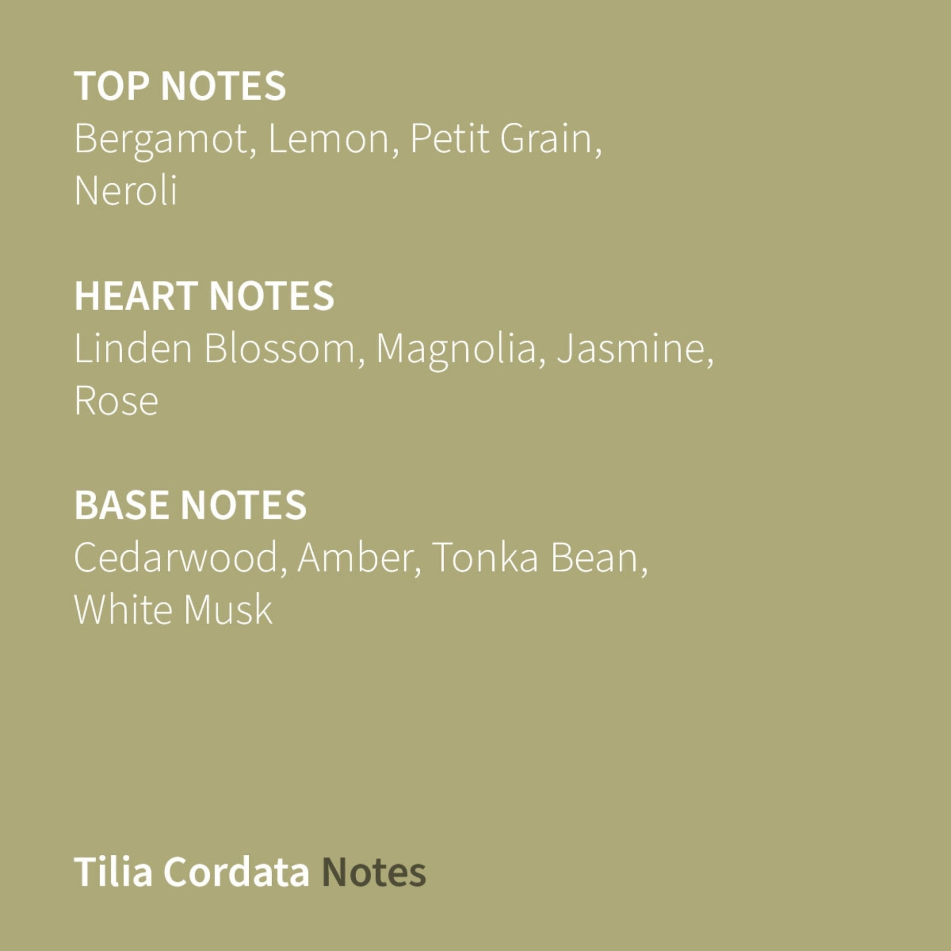 Tilia Cordata Eau de Parfum - Beautifox