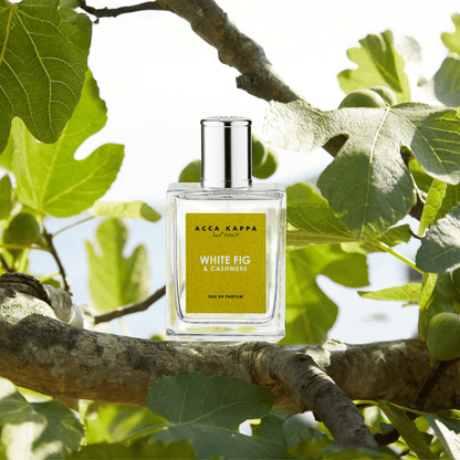 White Fig & Cashmere Eau de Parfum - Beautifox