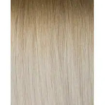 Ash Brown - Golden Blonde 8-610 Rooted