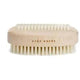 Beechwood Nail Brush - Beautifox