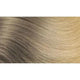Hotheads Tape In Extensions Colormelts - Beautifox